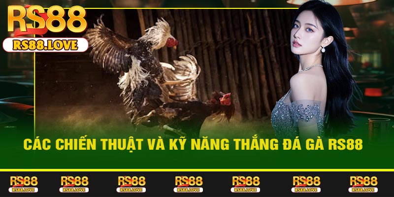 Các Chiến Thuật và Kỹ Năng Thắng Đá Gà RS88