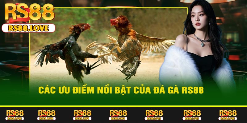 Các Ưu Điểm Nổi Bật Của Đá Gà RS88