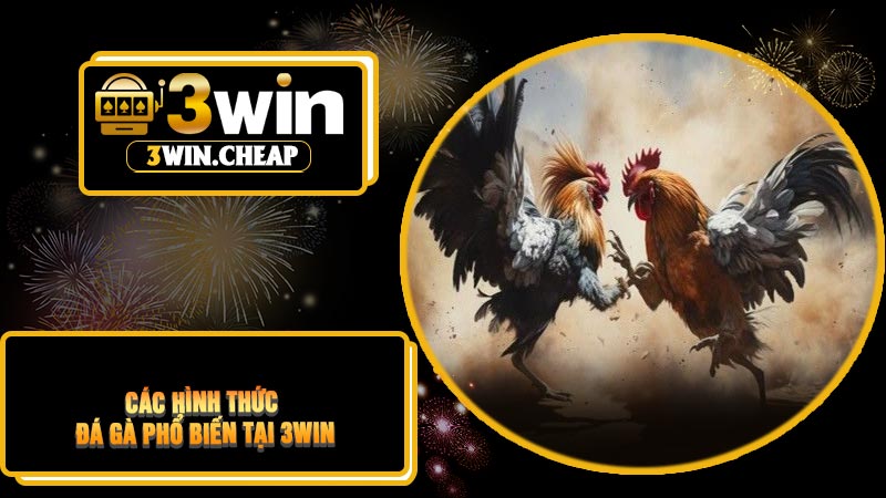 Các Hình Thức Đá Gà Phổ Biến Tại 3Win