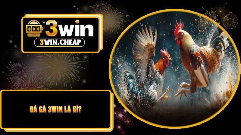 Đá Gà 3Win Là Gì?