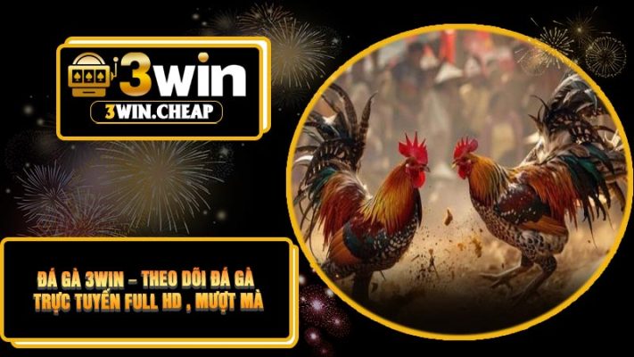 Đá Gà 3Win – Theo Dõi Đá Gà Trực Tuyến Full HD , Mượt Mà